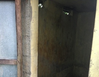 Photo of toilet before renovation
